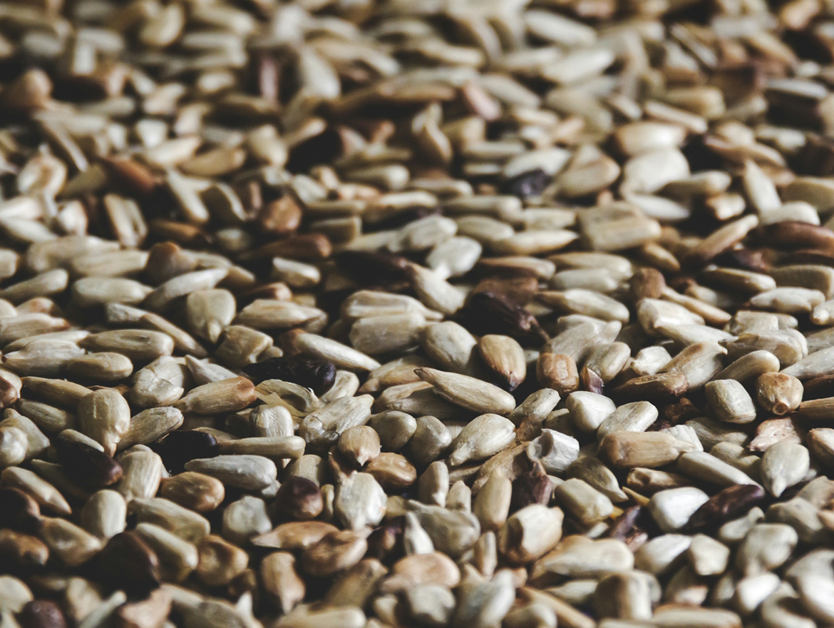 amazing caves coverimage